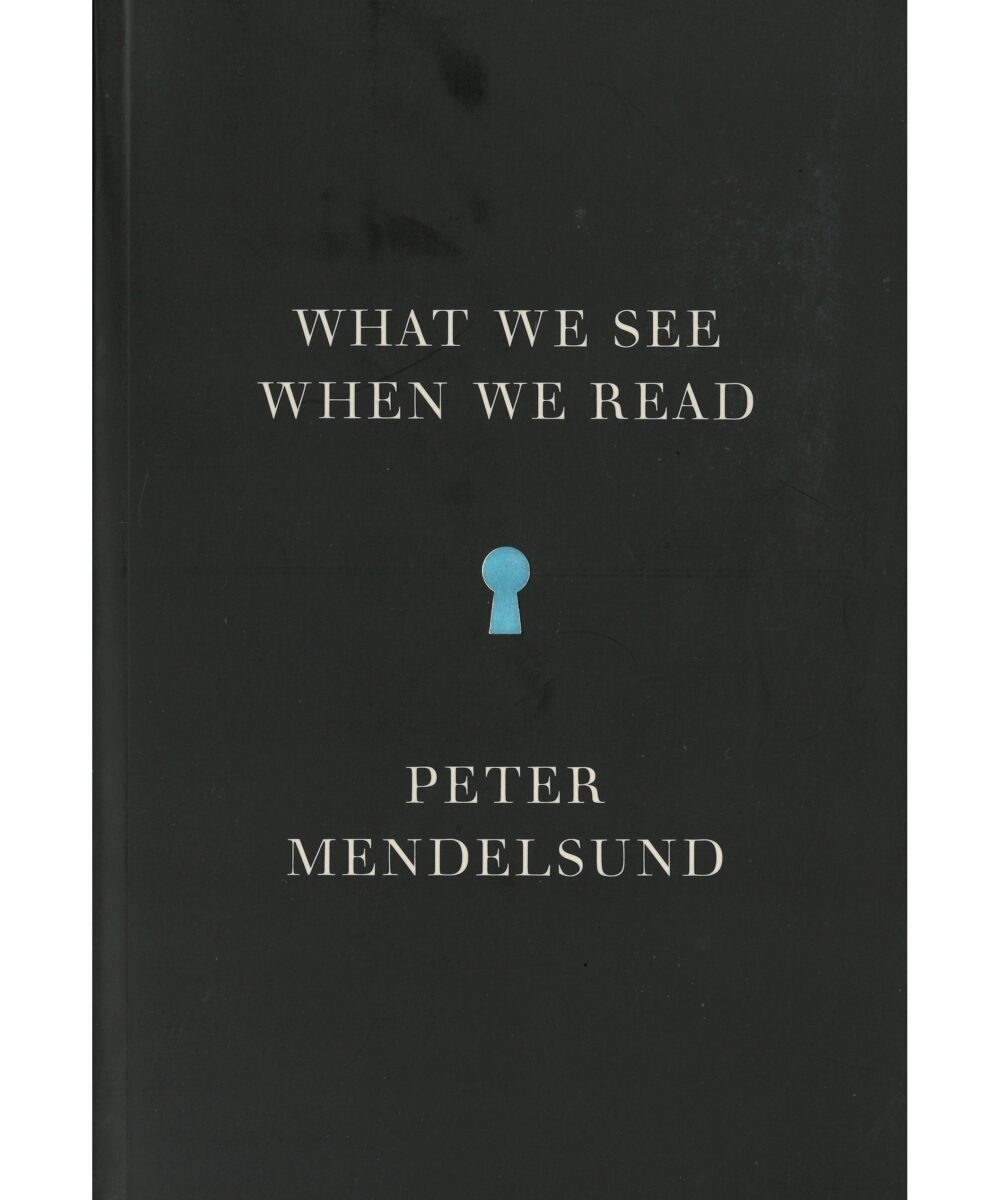 What We See When We Read