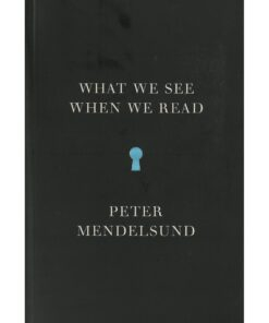 What We See When We Read