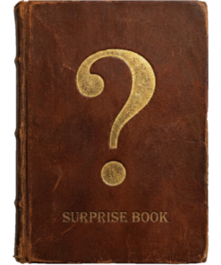 Surprise Book #1